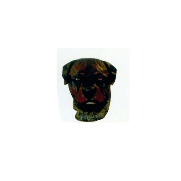 dunkelbrauner Hundekopf lebensgroß