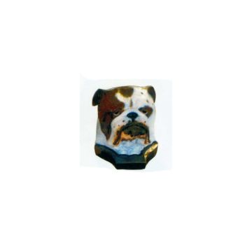 Bulldoggekopf lebensgroß
