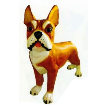 Boston Terrier XXXL braun übergroß XXL