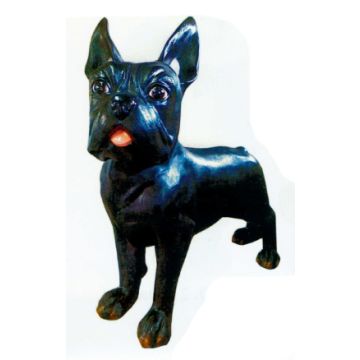 Boston Terrier XXXL schwarz übergroß XXL