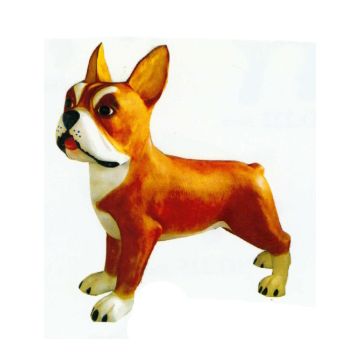 Boston Terrier XXXL braun weiß übergroß XXL
