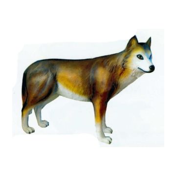 großer Wolf lebensgroß