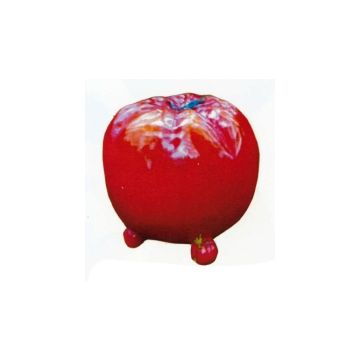 große rote Tomate vergrößert