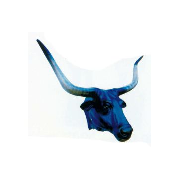 Langhornbullenkopf schwarz lebensgroß