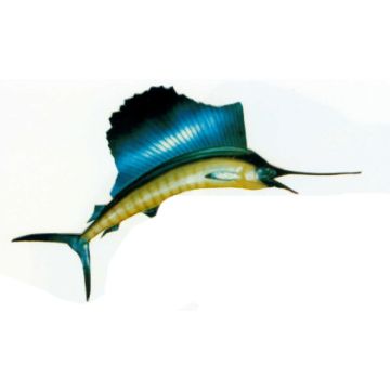 springender Segelfisch lebensgroß