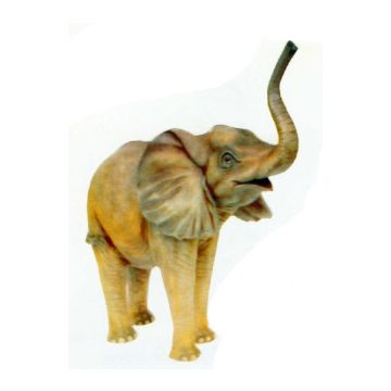 laufender Elefant klein Rüssel oben lebensgroß