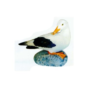 Möwe sitzend auf Stein lebensgroß