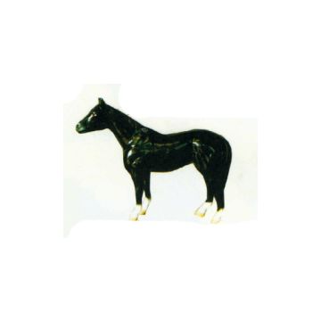 kleines schwarzes Pferd Kopf oben verkleinert