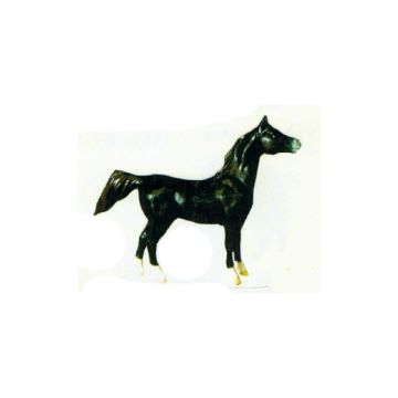 schwarzes kleines Pferd Kopf oben verkleinert