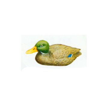 schwimmende Ente lebensgroß