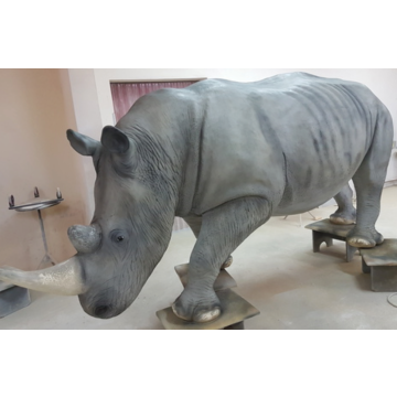 XXL Nashorn Kopf unten lebensgroß