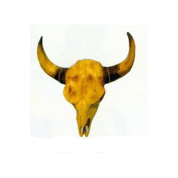 Schädel vom Stier lebensgroß