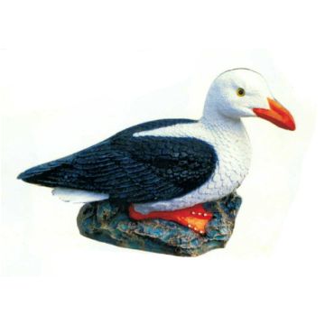 sitzende Möwe lebensgroß