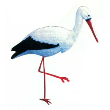 laufender Storch lebensgroß