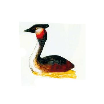 sitzender Vogel bunt lebensgroß