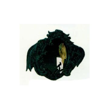 Drachenspiegel verkleinert