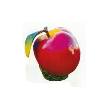 Apfel groß mit Blatt übergroß XXL