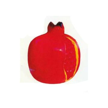 roter Granatapfel vergrößert