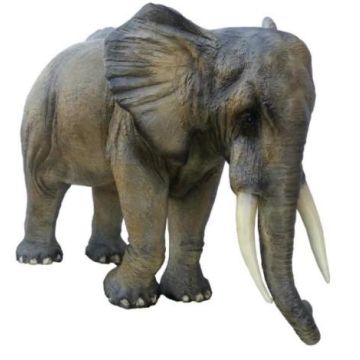 lebensgroßer Elefant mit Rüssel unten lebensgroß