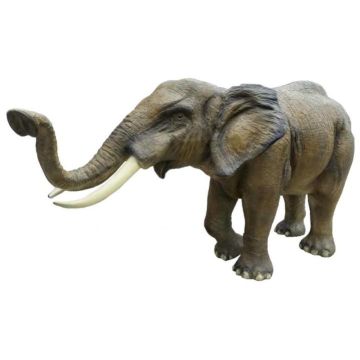 lebensgroßer Elefant mit Rüssel oben lebensgroß