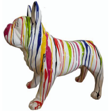 französische Bulldogge mit Farbverlauf vergrößert