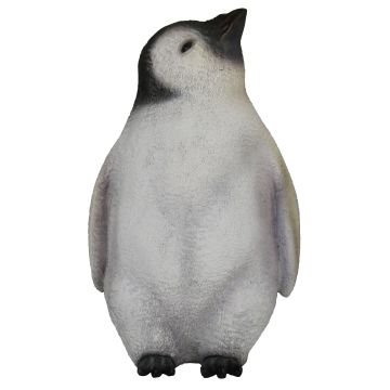 Pinguinbaby Kopf oben lebensecht lebensgroß