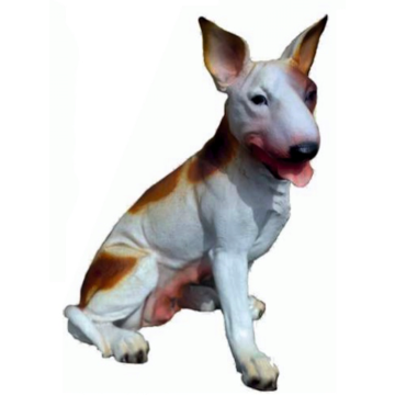 Kampfhund Bullterrier sitzend braun weiß lebensgroß