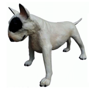 Bullterrier Kampfhund weiß schwarz lebensgroß