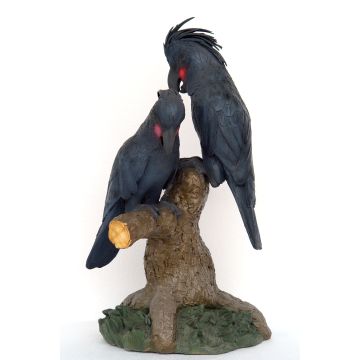 Arakakadu Pärchen lebensgroß