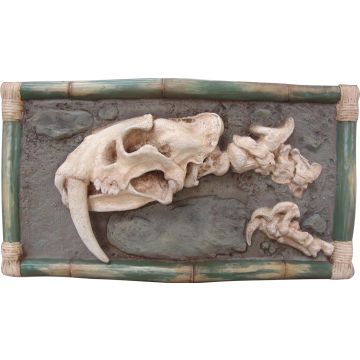 Dinokopf Skelett als Wandbild lebensgroß