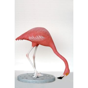 Flamingo lebensgroß