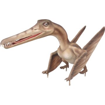 Baby Dino Cearadactylus lebensgroß