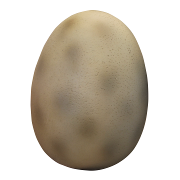 Dinoei klein lebensgroß