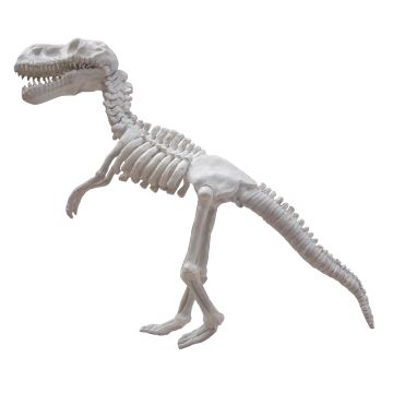 T-Rex Skelett weiß lebensgroß