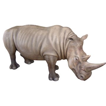 stehendes Nashorn Kopf unten lebensgroß