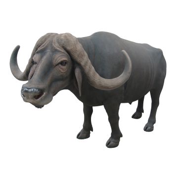 Buffalo lebensgroß