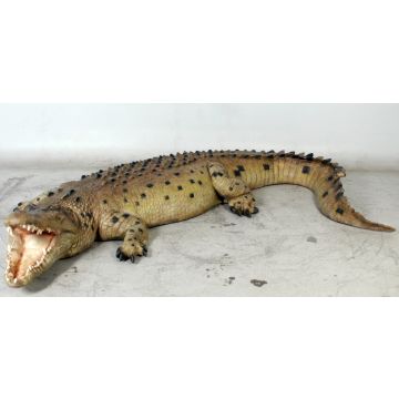Großes Krokodil lebensgroß