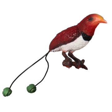Paradiesvogel lebensgroß