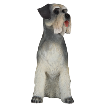 Sitzender Schnauzer lebensgroß