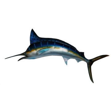 Blue Marlin mit gelben Streifen lebensgroß