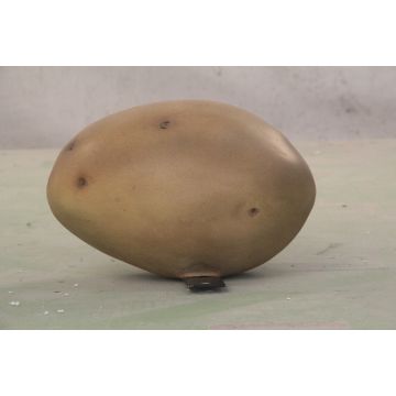 Kartoffel keine Angabe