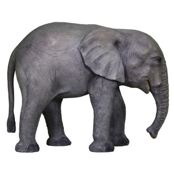 Baby Elefant lebensgroß
