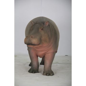 Baby Nilpferd lebensgroß