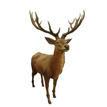 großer Hirsch mit Geweih lebensgroß