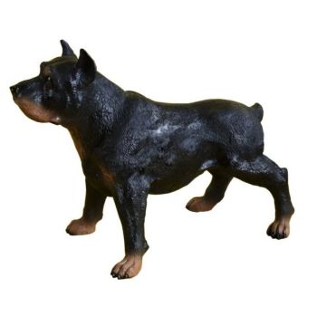Rottweiler Kampfhund lebensgroß