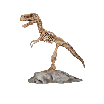 T-Rex Skelett auf Plattform lebensgroß