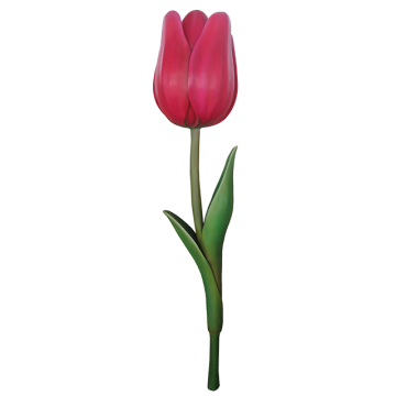 Dekotulpe keine Angabe
