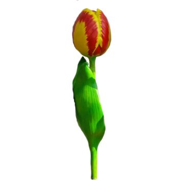 rot-gelbe Tulpe vergrößert