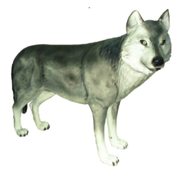 Großer Wolf lebensgroß