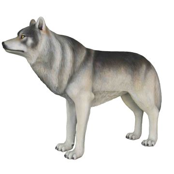 großer Wolf lebensgroß